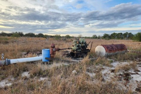 Terreno en venta en Frostproof, Florida № 1555403 - foto 13