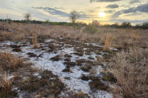Terreno en venta en Frostproof, Florida № 1555403 - foto 3