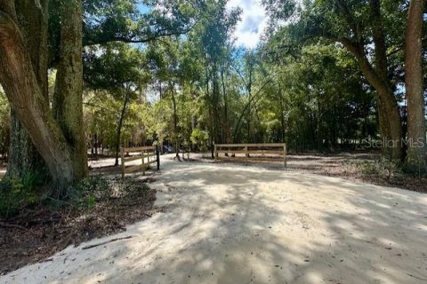 Terreno en Bell, Florida № 2098485