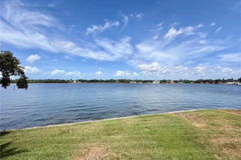 Copropriété à louer à Saint Petersburg, Floride: 1 chambre, 60.01 m2 № 2092440 - photo 19