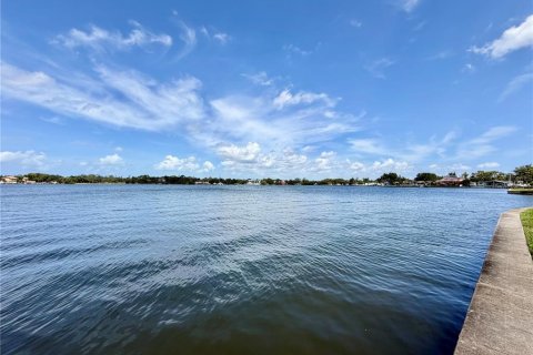 Copropriété à louer à Saint Petersburg, Floride: 1 chambre, 60.01 m2 № 2092440 - photo 23