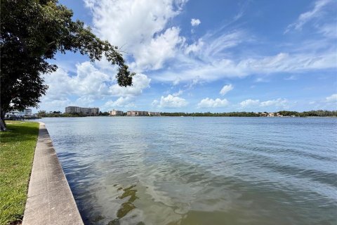 Copropriété à louer à Saint Petersburg, Floride: 1 chambre, 60.01 m2 № 2092440 - photo 22