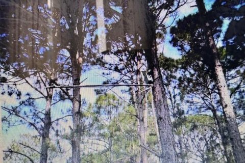 Land in North Port, Florida № 2135894 - photo 6