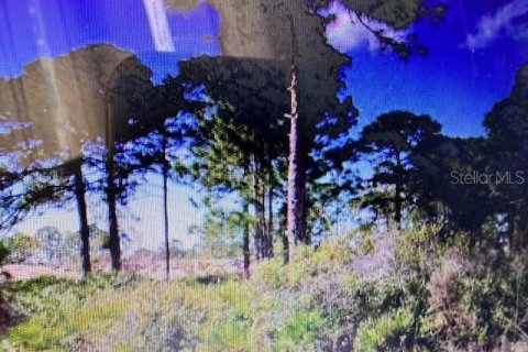 Land in North Port, Florida № 2135894 - photo 4