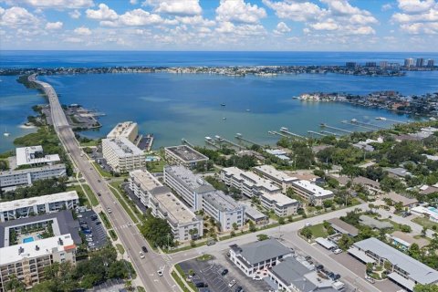 Copropriété à vendre à Belleair Bluffs, Floride: 2 chambres, 130.06 m2 № 2399458 - photo 29