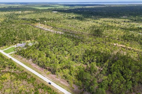 Land in Lake Wales, Florida № 2163880 - photo 10