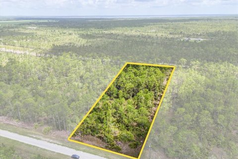 Land in Lake Wales, Florida № 2163880 - photo 4