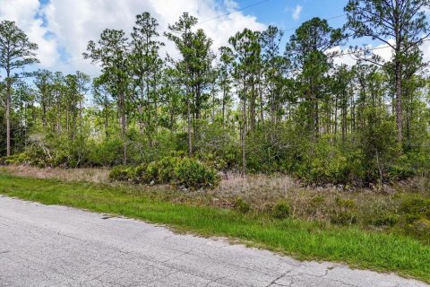 Land in Lake Wales, Florida № 2163880 - photo 12