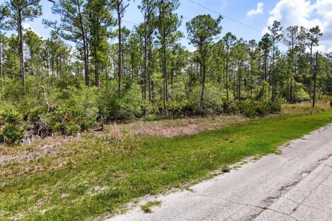 Land in Lake Wales, Florida № 2163880