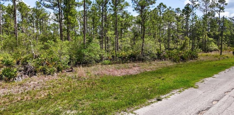 Land in Lake Wales, Florida № 2163880