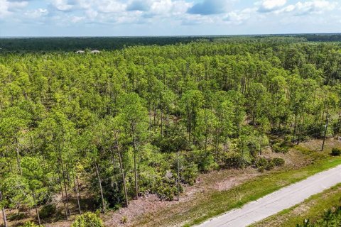 Land in Lake Wales, Florida № 2163880 - photo 11
