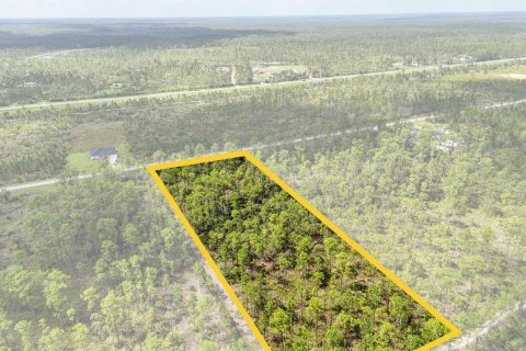 Land in Lake Wales, Florida № 2163880 - photo 13