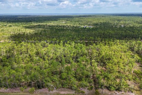 Land in Lake Wales, Florida № 2163880 - photo 6