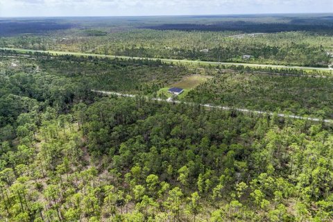Land in Lake Wales, Florida № 2163880 - photo 7