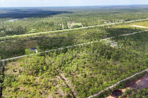 Land in Lake Wales, Florida № 2163880 - photo 8