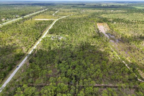 Land in Lake Wales, Florida № 2163880 - photo 9