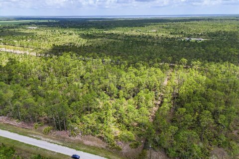 Land in Lake Wales, Florida № 2163880 - photo 5