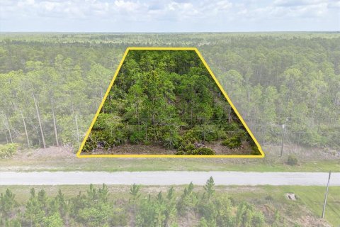 Land in Lake Wales, Florida № 2163880 - photo 2