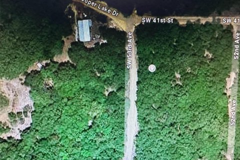 Terreno en venta en Interlachen, Florida № 1295307 - foto 2