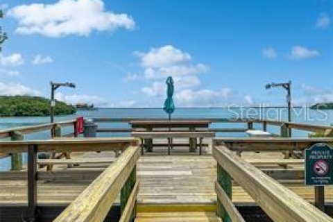 Condo in Saint Petersburg, Florida, 1 bedroom № 2095334