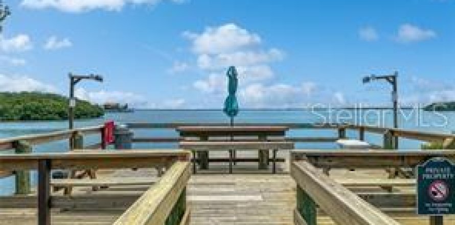 Condo in Saint Petersburg, Florida, 1 bedroom  № 2095334
