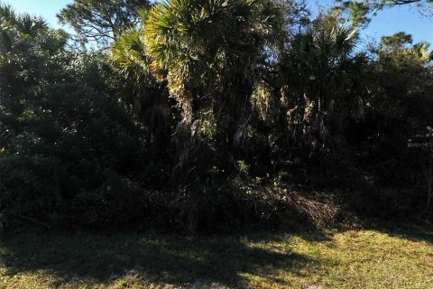 Terrain à North Port, Floride № 2233119
