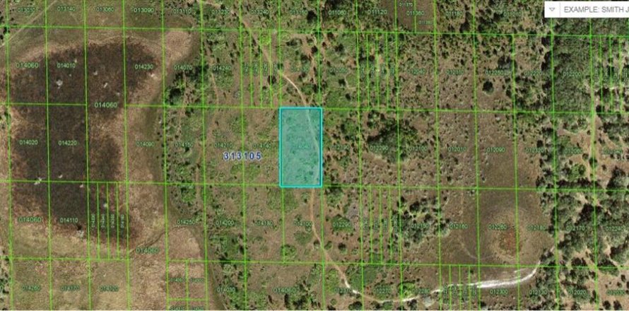 Terreno en Lake Wales, Florida № 2235010