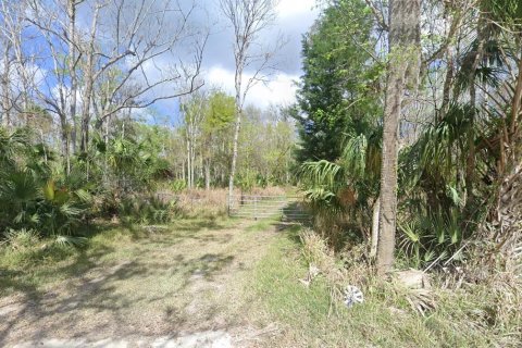Land in Edgewater, Florida № 1916362 - photo 1