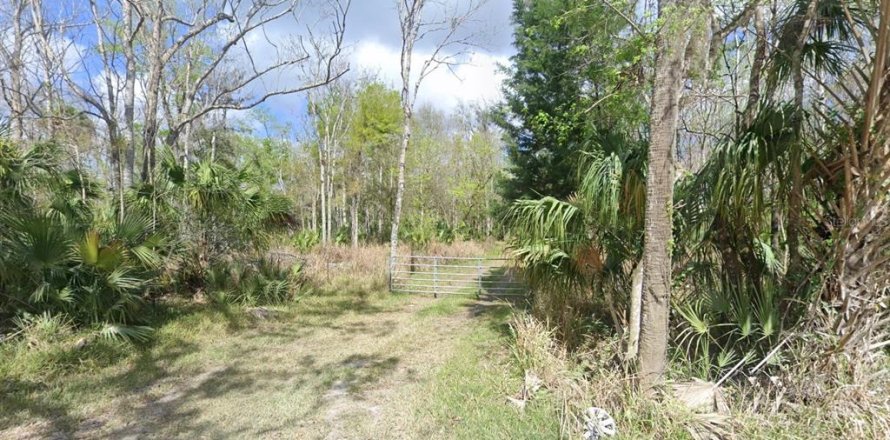 Land in Edgewater, Florida № 1916362