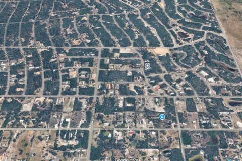 Land in Lake Placid, Florida № 2158793 - photo 4