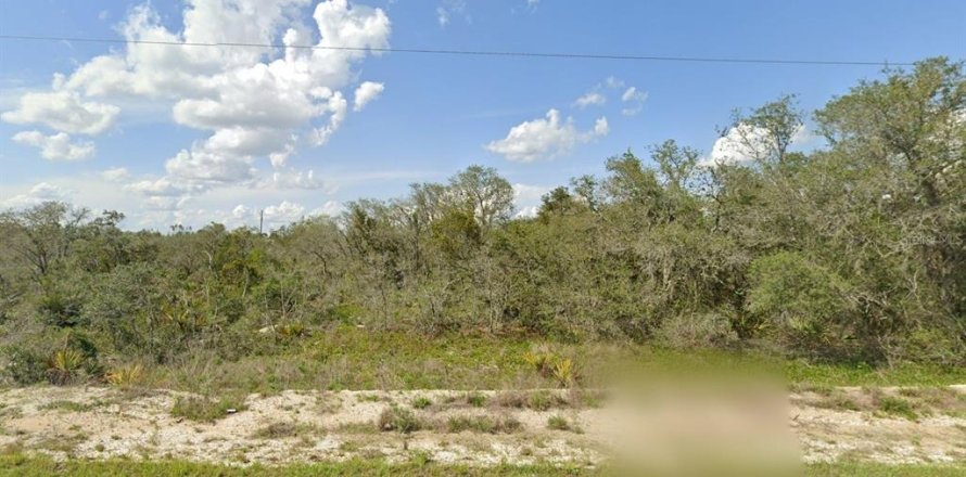 Land in Lake Placid, Florida № 2158793