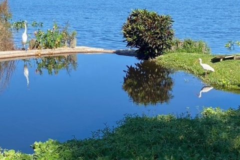 Condominio en venta en Safety Harbor, Florida, 1 dormitorio, 65.03 m2 № 1918029 - foto 25