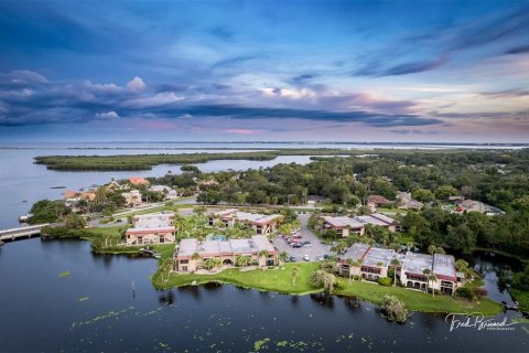 Condominio en venta en Safety Harbor, Florida, 1 dormitorio, 65.03 m2 № 1918029 - foto 19