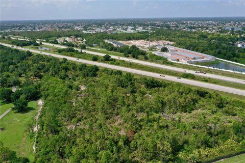 Land in Port Charlotte, Florida № 1784888 - photo 7