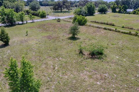 Land in Center Hill, Florida № 1247783 - photo 7
