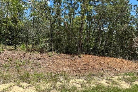 Land in Citrus Springs, Florida № 2162716
