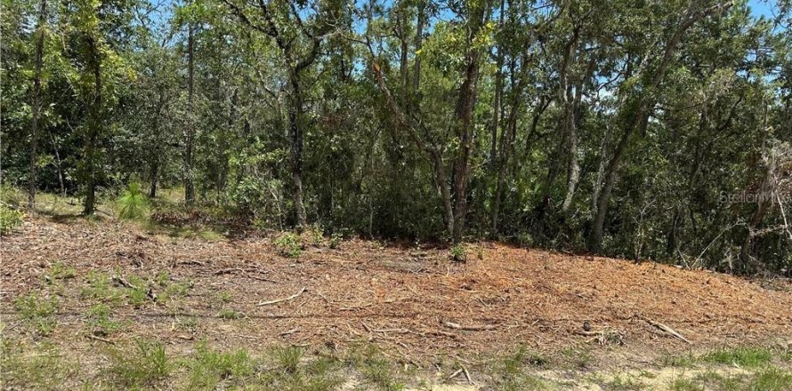 Land in Citrus Springs, Florida № 2162716
