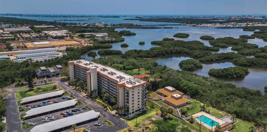 Condominio en Saint Petersburg, Florida, 2 dormitorios № 2152083