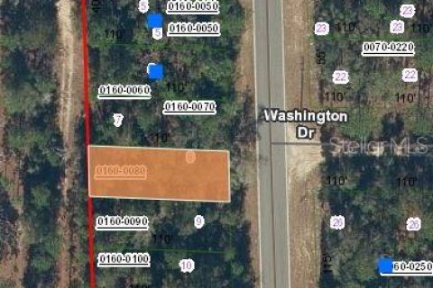 Land in Hawthorne, Florida № 2223875