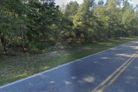 Land in Hawthorne, Florida № 2223875 - photo 5