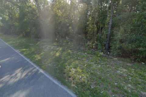 Land in Hawthorne, Florida № 2223875 - photo 4