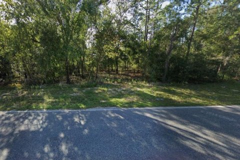 Land in Hawthorne, Florida № 2223875 - photo 3