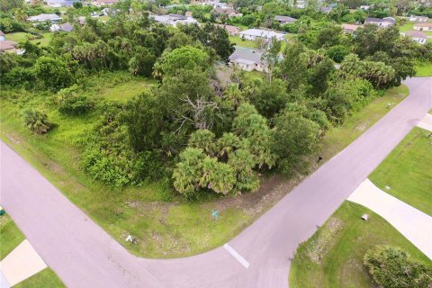 Land in Port Charlotte, Florida № 2162415 - photo 4