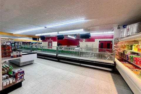 Immobilier commercial à vendre à Bartow, Floride: 676.33 m2 № 1757747 - photo 10