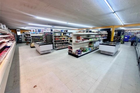 Immobilier commercial à vendre à Bartow, Floride: 676.33 m2 № 1757747 - photo 11