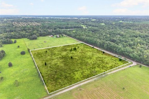 Land in Live Oak, Florida № 2359249