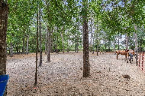 Villa ou maison à vendre à Ocala, Floride: 3 chambres, 140.47 m2 № 1783354 - photo 21