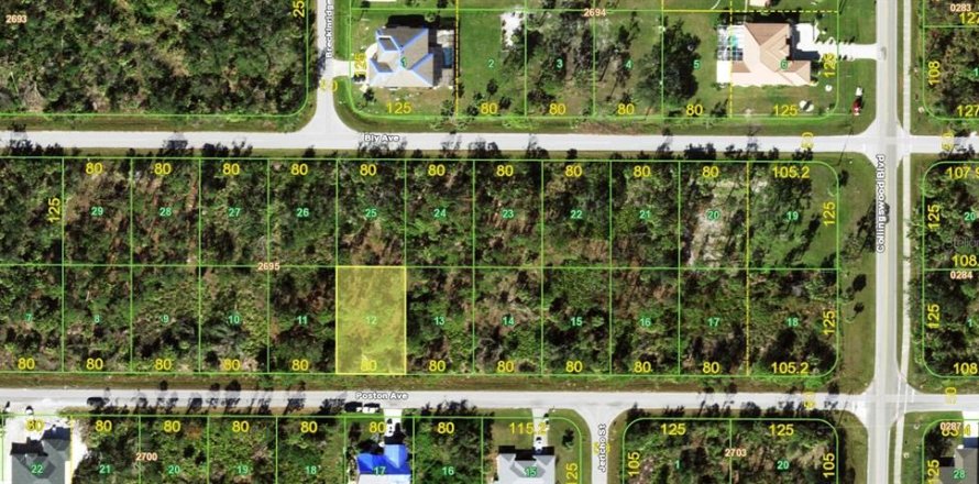 Land in Port Charlotte, Florida № 2164859