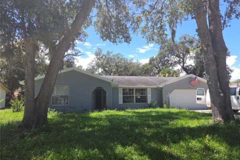 Villa ou maison à Ormond Beach, Floride 3 chambres, 147.9 m2 № 2403462