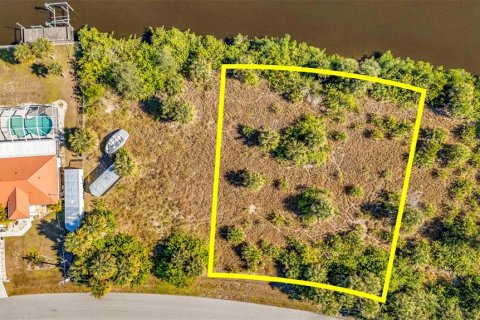 Land in Port Charlotte, Florida № 2155534 - photo 3